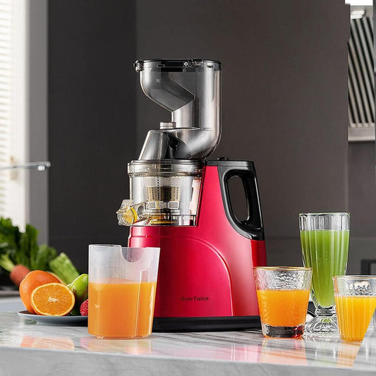 300W Slow Masticating Juicer