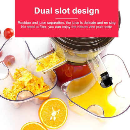 300W Slow Masticating Juicer