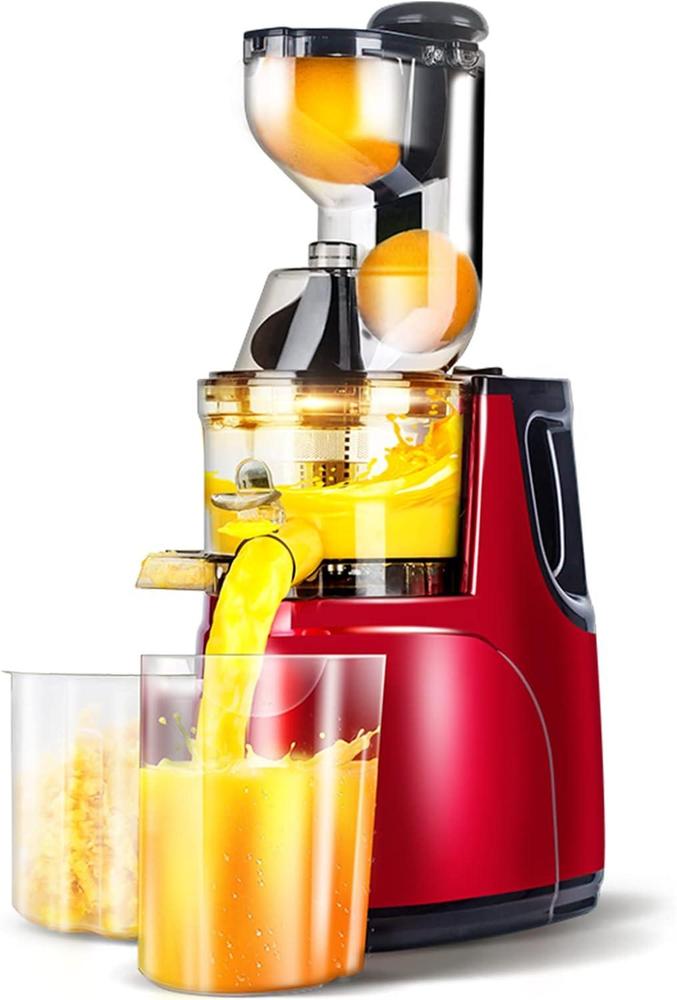 300W Slow Masticating Juicer